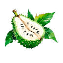 Soursop